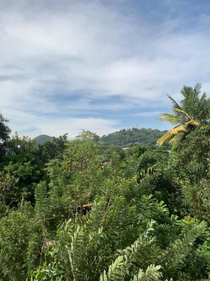 Sura Homestay แคนดี้ ภายนอก รูปภาพ